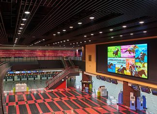 DNP Supernova is Clear Favourite at Tokyo Racecourse