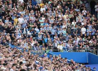 Brighton and Hove Albion to add more safe standing places at AMEX