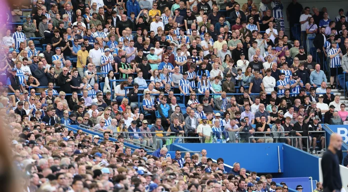 Brighton and Hove Albion to add more safe standing places at AMEX